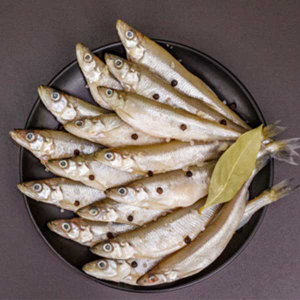 ماهی شورت پاک نشده برای فروش در وبسایت ماهی مشتا
