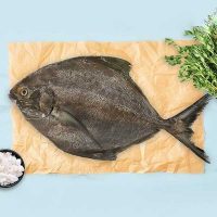 ماهی حلوا سیاه تازه برای فروش در وبسایت ماهی مشتا