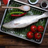 ماهی شوریده پاک نشده برای فروش در وبسایت ماهی مشتا