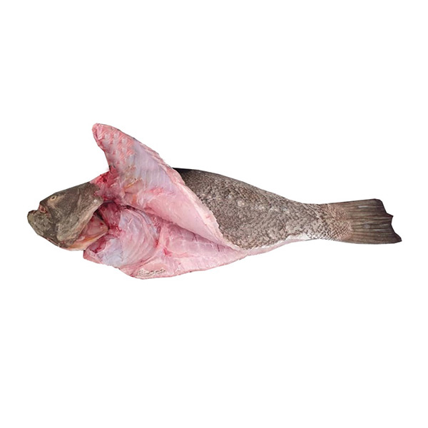 ماهی کفشک پاک شده برای فروش در وبسایت ماهی مشتا