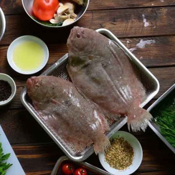 کفشک ماهی تازه پاک نشده برای فروش در وبسایت ماهی مشتا