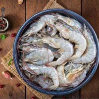 میگو متوسط جنوب برای فروش در وبسایت ماهی مشتا