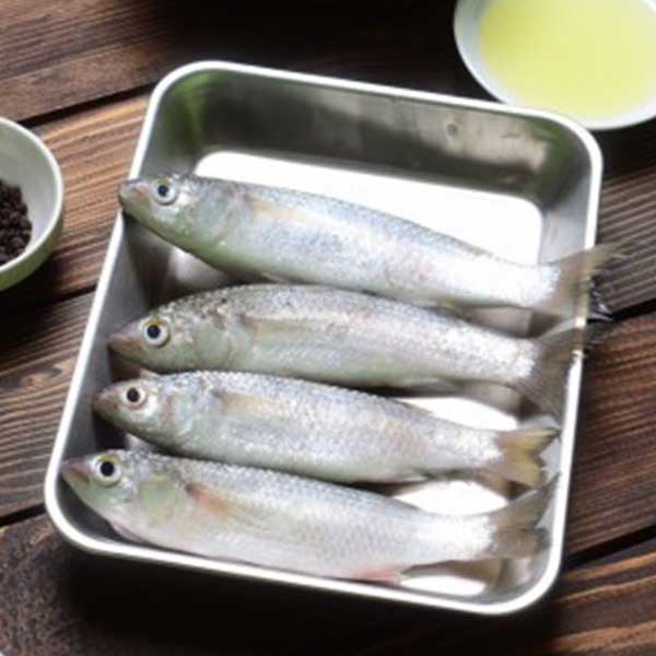 ماهی گاریز پاک نشده برای فروش در وبسایت ماهی مشتا
