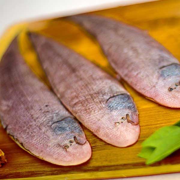 ماهی کفشک زبان گاوی برای فروش در وبسایت ماهی مشتا