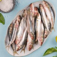 ماهی ساردین پاک نشده برای فروش در وبسایت ماهی مشتا