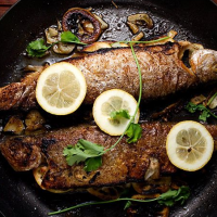 ماهی شوریده سرخ شده برای بخش دستور پخت سایت ماهی مشتا