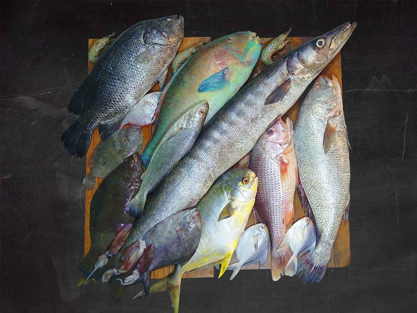 فروش ماهی جنوب در تهران
