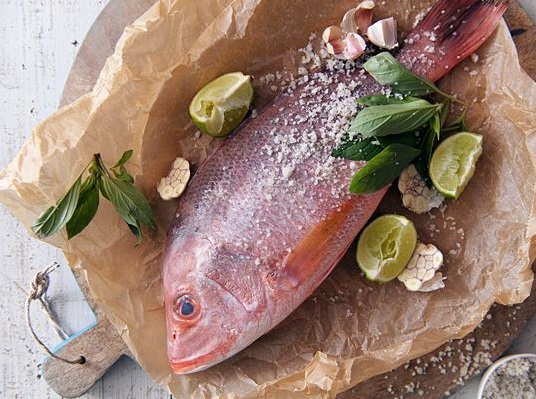 20 فایده‌ی غذاهای دریایی برای بدن