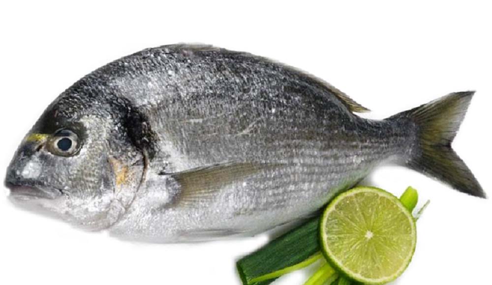 پخت ماهی صبیتی به روش فرانسوی‌ها