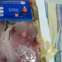 ویدئو ارسالی مشتری ماهی مشتا