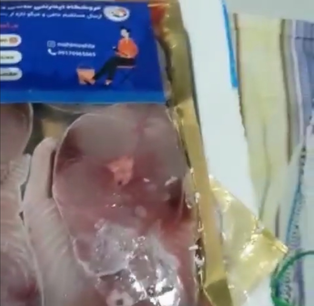 ویدئو ارسالی مشتری ماهی مشتا